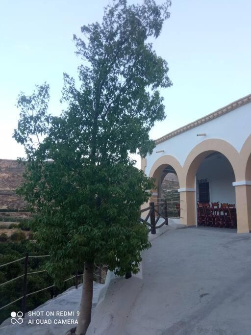 Cortijocueva Con Encanto Natural Terque Exterior photo